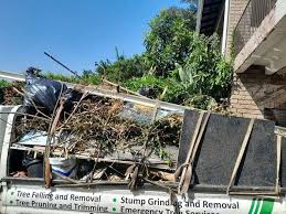 Best Shed Removal in Lumberton, MS